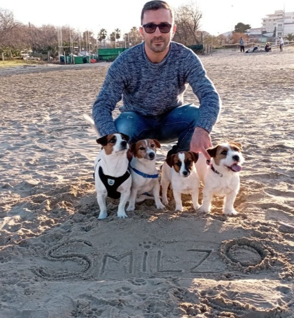 Tony - Smilzo Jack Russell